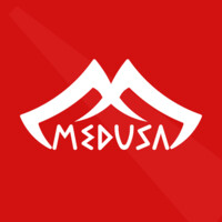 Medusa Otomatik Kapı logo - Similar company to Championgroup Oü