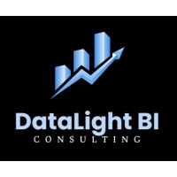 DataLight BI logo - Similar company to Power Partners