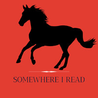 Somewhere I Read logo - Similar company to Ai Infotech