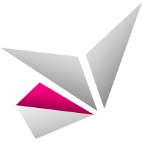 Codinsight logo - Similar company to Midisoft