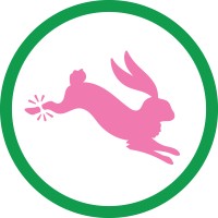 Lucky Shots Pickleball logo - Similar company to Visualarts Llc