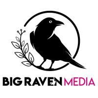 Big Raven Media logo - Similar company to Specialised Geo Pty Ltd