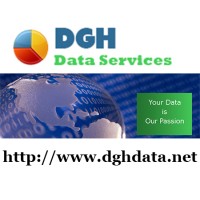 DGH Data Services logo - Similar company to Dgh Log & Sped