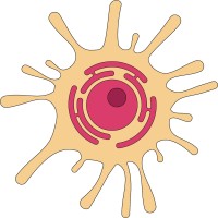 Meike Latz - Communicating Science Visually logo - Similar company to Science Drawn