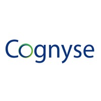 Cognyse logo - Similar company to Trilogyone Technologies