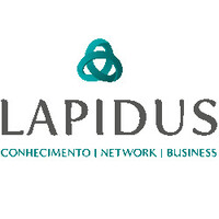 Lapidus Network logo - Similar company to We.Flow