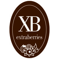 EXTRABERRIES logo - Similar company to Vecchio Srl