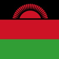 Malawi Centre for Domestic Development logo - Similar company to Aiesec In Malawi