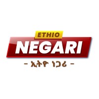 Ethio Negari logo - Similar company to Cloudadis It Solutions