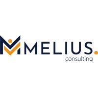 Melius Consulting logo - Similar company to Melius