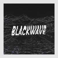 Blackwave Agency logo - Similar company to Africa Xyz