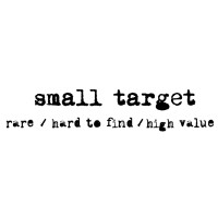 Small Target Consulting logo - Similar company to Rosetta Solutions