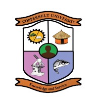 Copperbelt University - ICT Business and Innovation Centre (CBU-IBIC) logo - Similar company to Magenta Insight