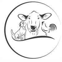 Vet24x7 logo - Similar company to Vet24