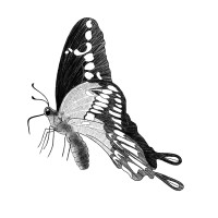 Dagjeindenatuur logo - Similar company to Coaching With You Llp