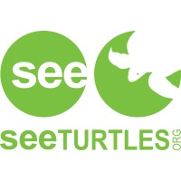 SEE Turtles logo - Similar company to The Blue Mind Movement