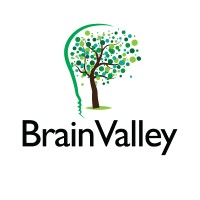 Brain Valley logo - Similar company to Brainwallet