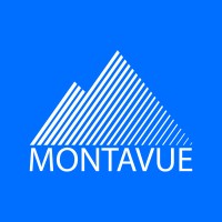 Montavue logo - Similar company to Site Security Ai