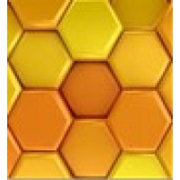 MS HR Consultancy logo - Similar company to Caasi - Strategic Hr And Od Consultancy