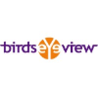 BirdsEyeView logo - Similar company to Nocore Bv