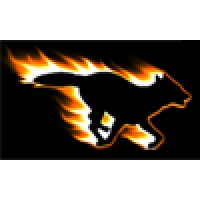 Blazing Wolf Computer Services