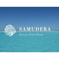 Samudera Discus logo - Similar company to Pt. Prima Power