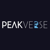 PEAKVERSE logo - Similar company to Complete Technologies International