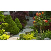 Precision Landscaping and Tree Service LLC logo - Similar company to Edison Tree Service