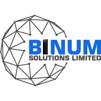 BINUM SOLUTIONS LIMITED logo - Similar company to Ibn Outsourcing
