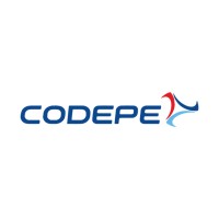 Codepe logo - Similar company to Limpservice