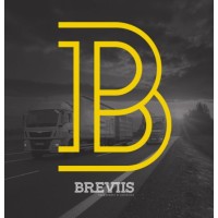 Breviis Transporte e Logística logo - Similar company to Maglog Transporte E Logística