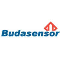Budasensor Kft. logo - Similar company to Eyetech Ab