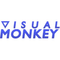 Visual Monkey logo - Similar company to Nvk Group