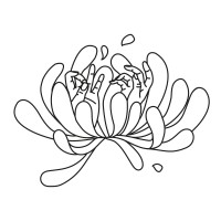 Eden Keshia logo - Similar company to Ambiente Tapas