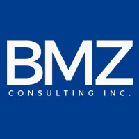 BMZ CONSULTING logo - Similar company to It Peak