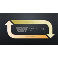 W Consulting Llc