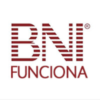 BNI VSI FUNCIONA logo - Similar company to Coac Alcoy - Colegio Oficial De Agentes Comerciales De Alcoy