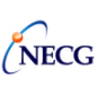 NECG - Nuclear Economics Consulting Group logo - Similar company to Pfyn Capital