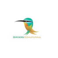 BIRDERS EZHUPUNNA logo - Similar company to Btc Limited (Btc Groupbd)