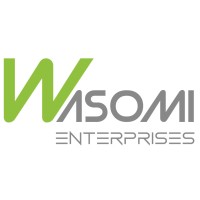 Wasomi Electronics logo - Similar company to Mkhulwini Electronics (Pty) Ltd