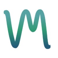 ValueMetrics Technologies logo - Similar company to Webzoo Ab
