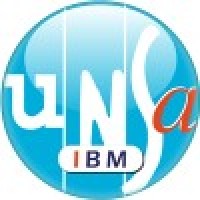 UNSA IBM logo - Similar company to Cfdt Ibm