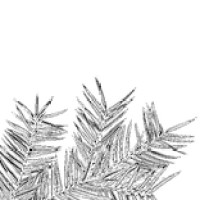 Pine Tree Architects logo - Similar company to Ripuki Oü