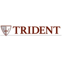 Trident Process Systems, LLC logo - Similar company to Interstate Treating Inc