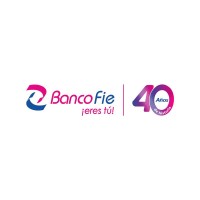 Banco FIE logo - Similar company to Bolsa Boliviana De Valores