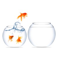 Howard Trading Limited logo - Similar company to Tyrell Capital