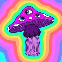 Mushroom Singularity logo - Similar company to Spiral Process Therapy