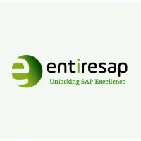 Entiresap Solution Private Limited logo - Similar company to Iteos