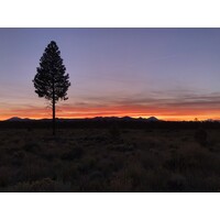Tumalo Creek Partners, LLC logo - Similar company to Wildlife Forever