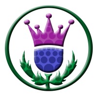 Caledonian Independent Leasing Limited logo - Similar company to Elev8 Finance